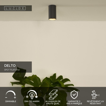 Lucide DELTO - Spot plafond - Ø 5,5 cm - LED Dim to warm - GU10 (MR16) - 1x5W 2200K/3000K - Gris