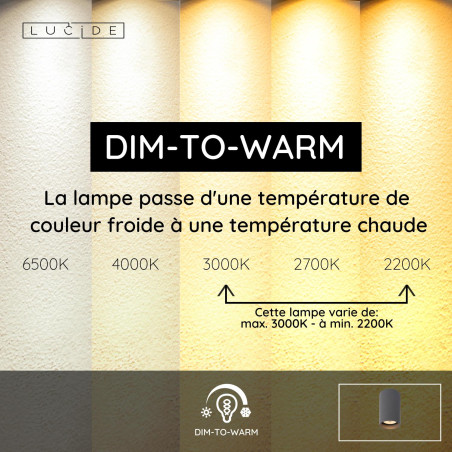 Lucide DELTO - Spot plafond - Ø 5,5 cm - LED Dim to warm - GU10 (MR16) - 1x5W 2200K/3000K - Gris