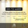 Lucide DELTO - Spot plafond - Ø 5,5 cm - LED Dim to warm - GU10 (MR16) - 1x5W 2200K/3000K - Gris