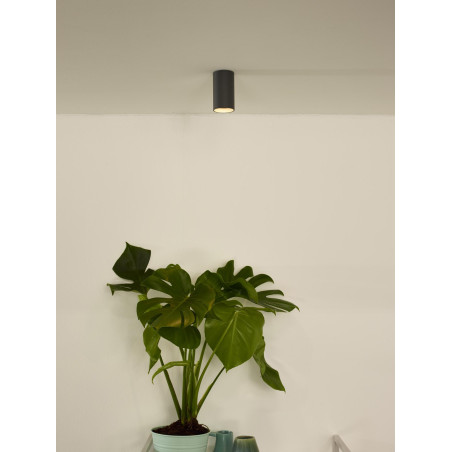 Lucide DELTO - Spot plafond - Ø 5,5 cm - LED Dim to warm - GU10 (MR16) - 1x5W 2200K/3000K - Gris