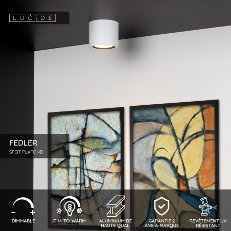 Lucide FEDLER - Spot plafond - Ø 12 cm - LED Dim to warm - GU10 (ES111) - 1x12W 2200K/3000K - Blanc
