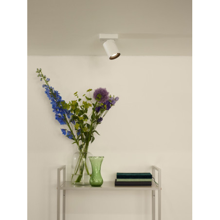 Lucide NIGEL - Spot plafond - LED Dim to warm - GU10 (MR16) - 1x5W 2200K/3000K - Blanc