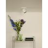 Lucide NIGEL - Spot plafond - LED Dim to warm - GU10 (MR16) - 1x5W 2200K/3000K - Blanc
