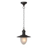 Lucide ARUBA - Suspension Intérieur/Extérieur - Ø 25 cm - 1xE27 - IP44 - Rouille