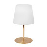 Lucide TYON - Lampe de table Rechargeable Intérieur/Extérieur - Batterie/Piles - Ø 15 cm - LED Dim. - 1x2W 2700K - IP65 - Or