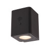 Lucide RAMIN - Applique murale- Énergie Solaire - LED Dim. - 1x1W 2700K/3000K - IP54- Détecteur De Mouvement & Jour/Nuit - Noir