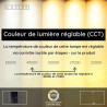 Lucide AARON - Lampadaire / lampe de lecture - LED Dim. - CCT - 1x12W 2700K/4000K - Blanc