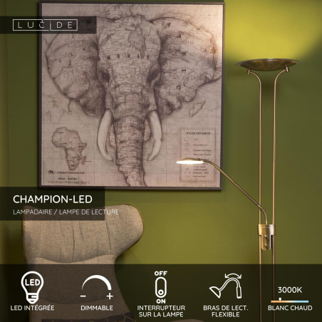 Lucide CHAMPION-LED - Lampadaire / lampe de lecture - LED Dim. - 3000K - Bronze