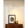 Lucide RILOU - Spot plafond - LED Dim. - GU10 (MR16) - 1x5W 3000K - Blanc
