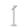 Lucide ANTRIM - Lampe de bureau Rechargeable Intérieur/Extérieur - Batterie/Piles - LED Dim. - 1x2,2W - L 11 x P 11 x H 43 cm