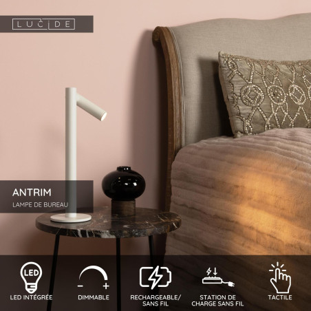 Lucide ANTRIM - Lampe de bureau Rechargeable Intérieur/Extérieur - Batterie/Piles - LED Dim. - 1x2,2W - L 11 x P 11 x H 43 cm