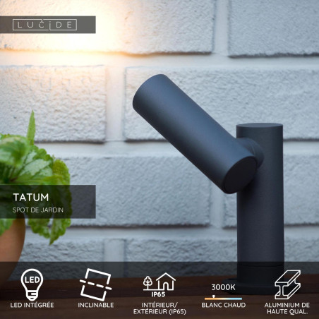 Lucide TATUM - Spot de jardin - LED - 1x5W 3000K - IP65 - Anthracite