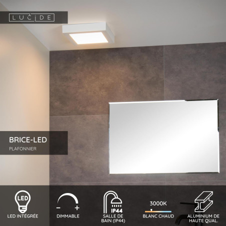 Lucide BRICE-LED - Plafonnier Salle de bains - LED Dim. - 1x22W 3000K - IP44 - Blanc