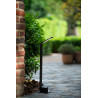 Lucide LAWFORD - Borne extérieur - LED - 1x6W 3000K - IP54 - Noir - L 15 x P 9,5 x H 60 cm
