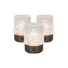 Lucide LILY - Lampe de table Rechargeable - Batterie/Piles - Ø 8 cm - LED 3 StepDim - 1x3W 2700K/3000K - Canon Fusil - Ensemble