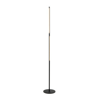 Lucide FINAN - Lampadaire - LED Dim. - 1x32W 2700K - Noir