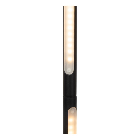 Lucide FINAN - Lampadaire - LED Dim. - 1x32W 2700K - Noir