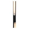 Lucide FINAN - Lampadaire - LED Dim. - 1x32W 2700K - Noir