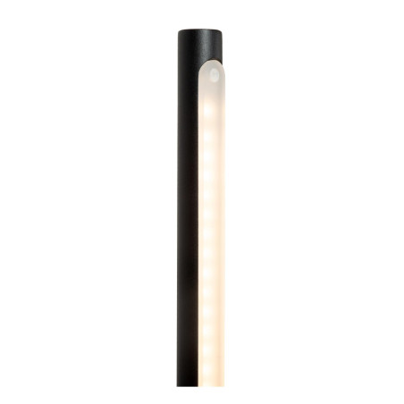 Lucide FINAN - Lampadaire - LED Dim. - 1x32W 2700K - Noir