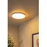 Lucide OLSON - Plafonnier Salle de bains - Ø 35 cm - LED - CCT - 1x36W 3000K/6500K - IP44 - Opalin