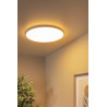 Lucide OLSON - Plafonnier Salle de bains - Ø 45 cm - LED - CCT - 1x45W 3000K/6500K - IP44 - Opalin