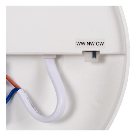 Lucide OLSON - Plafonnier Salle de bains - Ø 45 cm - LED - CCT - 1x45W 3000K/6500K - IP44 - Opalin