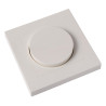 Lucide variateur LED Trailing Edge And Leading Edge RL 5-150W / Coupe de phase RC 5-300W Blanc