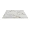 Plateau de table de restaurant MARBRE BLANC 120x80 d'intérieur - Bois, marbre blanc of253 bst