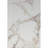 Plateau de table de restaurant MARBRE BLANC 120x80 d'intérieur - Bois, marbre blanc of253 bst