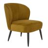 Coque pour chaise MATISSE (sans structure) d'intérieur - Bois, tissu 100% PES gold