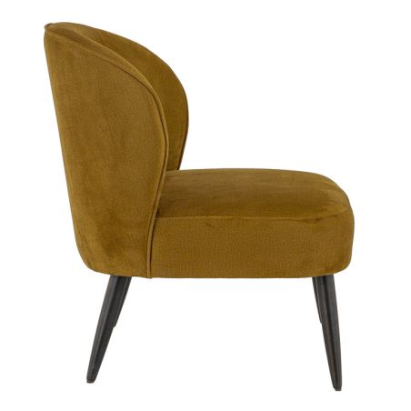 Coque pour chaise MATISSE (sans structure) d'intérieur - Bois, tissu 100% PES gold