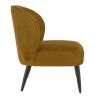 Coque pour chaise MATISSE (sans structure) d'intérieur - Bois, tissu 100% PES gold