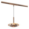 Lucide Premium LINIAL DISC Suspension - Smart - 48V Track - 1xLED - Champagne