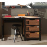 Bureau GEOFFROY - Pin massif, nature