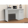 Bureau 121 cm MIMOSA avec tiroir et porte