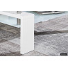 Table basse 100 x 60 cm AMANDINE plateau en verre