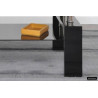 Table basse 100 x 60 cm AMANDINE plateau en verre