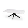 Table basse ovale 130 cm ALBATRE plateau en pierre frittée