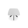 Table basse ovale 130 cm ALBATRE plateau en pierre frittée