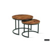 Set de 2 tables basses GALET en manguier massif