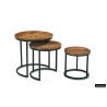 Set de 3 tables d'appoint PRALINE en manguier massif