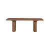 Table basse 120 x 60 cm JASPE en manguier massif