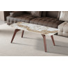 Table basse 120 x 60 cm AMBRETTE plateau en pierre frittée
