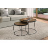 Set de 2 tables basses LARIX en manguier massif