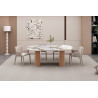 Table extensible 120 à 160 à 200 cm EVIANE plateau en pierre frittée