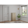 Meuble à chaussures 60 cm MOKA 2 portes