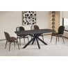 ACACIA, table à manger ovale 200 cm - décor bois - pieds en métal noir - 3 finitions
