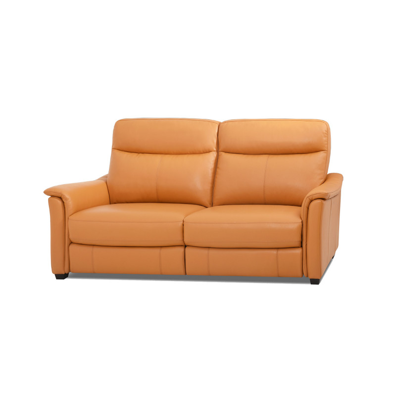 Canapé 2 places fixes RS-04511 en cuir
