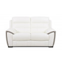 Canapé 2 places fixes RS-05711 en cuir