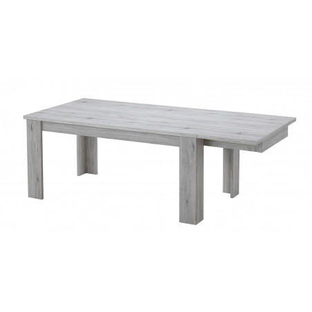 Table extensible 170/220 cm